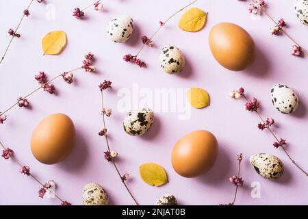 Uova e fiori primaverili viola sparsi su sfondo viola Foto Stock