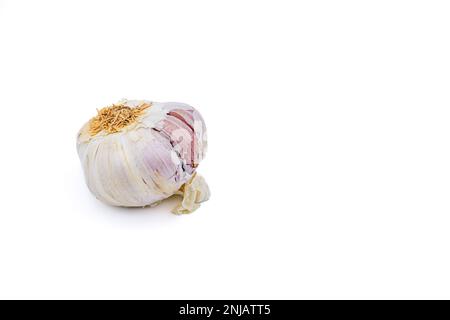 Un bulbo d'aglio biologico tagliato su sfondo bianco in studio Foto Stock