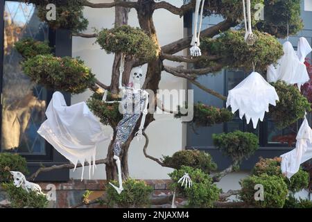 11-1-2022: Burlingame, California: Decorazioni di Halloween sulle strade Foto Stock