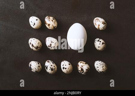 Uova piatte giaceva su sfondo rustico nero di metallo. Quaglia e uova di pollo allineate in fila a forma di rettangolo Foto Stock