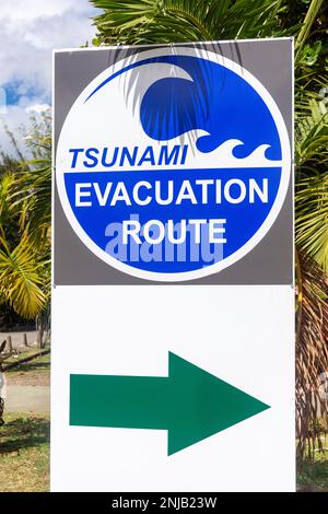 Cartello stradale di evacuazione tsunami, Plage Municipale de Sainte-Anne, Sainte-Anne, le Marin, Martinica, piccole Antille, Caraibi Foto Stock