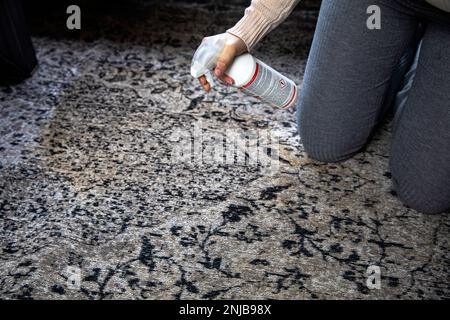 Tappeto di pulizia femminile con panno e spruzzatore primo piano, macchie di caffè marrone sporco, donna che pulisce la casa Foto Stock