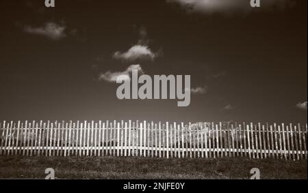Una vecchia recinzione rustica in legno che protegge il tranquillo prato del New England Foto Stock