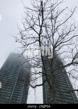 Grattacieli e alberi nel distretto di Zincirkuyu in una giornata di nebbia a Istanbul, Turchia. Foto Stock