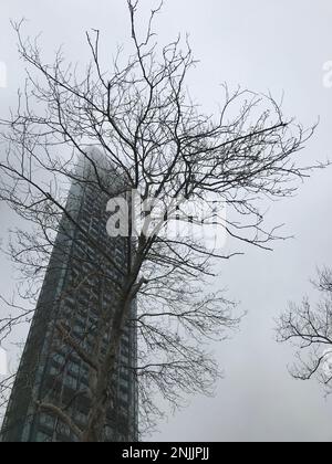 Grattacielo e albero nel distretto di Zincirkuyu in una giornata di nebbia a Istanbul, Turchia. Foto Stock