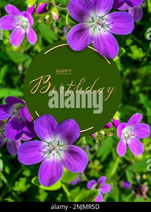 Biglietto di auguri con la scritta buon compleanno. Il messaggio di saluto di  congratulazioni per la ragazza madre con fiori e un regalo su uno sfondo di  legno Foto stock - Alamy