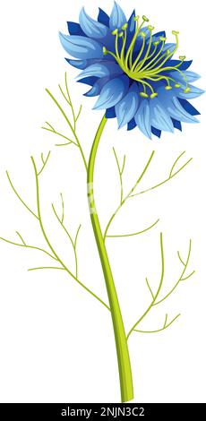 nigella sativa cumin figura vettoriale cartone animato nero Illustrazione Vettoriale