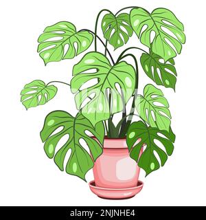 Pianta di Monstera nella illustrazione vettoriale della pentola ceramica Illustrazione Vettoriale