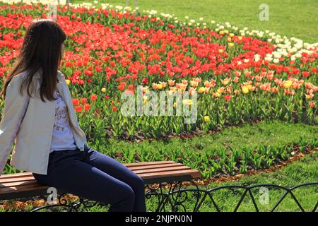 Kiev, Ucraina - 26 aprile 2018: Giovane ragazza sta guardando tappeto di tulipani colorati sul prato del parco in un giardino della città. Fiori primaverili di rosso e giallo Foto Stock