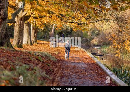 Fotografia locale di Watford, Inghilterra, Regno Unito Foto Stock