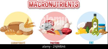 Principali gruppi alimentari macronutrients vettore illustrazione Illustrazione Vettoriale