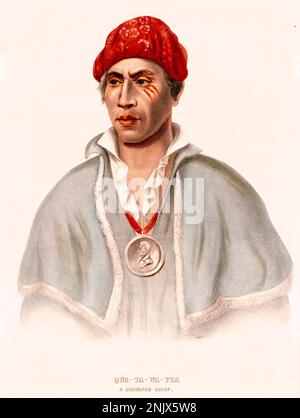 Qua-Ta-Wa-Pea - Un capo di Shawnoe - 1838 - Charles Bird King Foto Stock