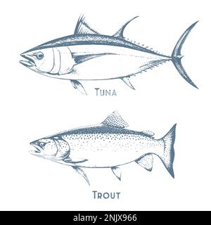 I pesci abbozzano le icone di tonno, persico e luccio o salmone e marlin. Set vettoriale Illustrazione Vettoriale