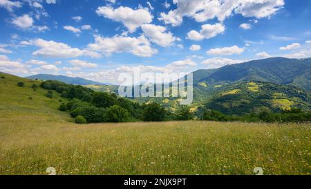 una pittoresca campagna montuosa caratterizzata da un tranquillo prato e lussureggianti pascoli verdi. i vasti campi erbosi si estendono sotto la somma luminosa Foto Stock