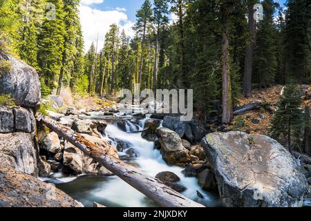 Un tranquillo torrente si snoda attraverso un pittoresco paesaggio di rocce e alberi, fornendo uno sfondo tranquillo per qualsiasi scena all'aperto Foto Stock