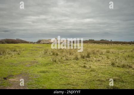 Bunker tedeschi a Utah Beach France. Foto Stock