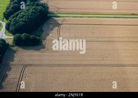 Luchtfoto van akkers; foto aerea di terreni agricoli Foto Stock