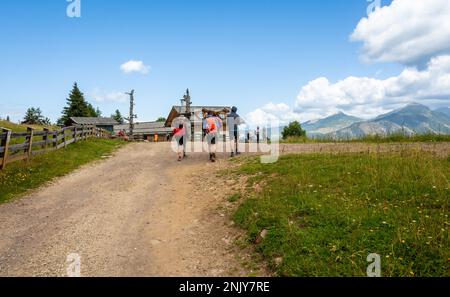 horn alm al Parco Naturale del Trodner Horn (in italiano: Parco naturale Monte Corno) è una riserva naturale a sud di Bolzano, in Alto Adige, nel nord Italia Foto Stock