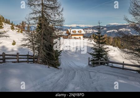 horn alm al Parco Naturale del Trodner Horn (in italiano: Parco naturale Monte Corno) è una riserva naturale a sud di Bolzano, in Alto Adige, Italia Foto Stock