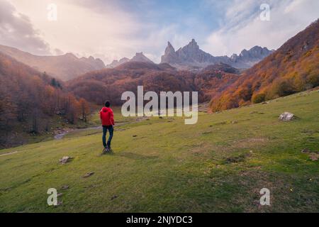 Vista posteriore corpo pieno di viaggiatore maschio in outerwear in piedi sul pendio della collina mentre godendo la natura con gli alberi di arancio di caduta e le montagne rocciose in Py francese Foto Stock