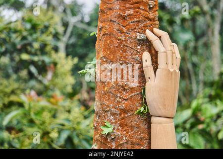Legno mano toccante tronco di albero che cresce in giardino verde con piante e cespugli nelle giornate di sole Foto Stock