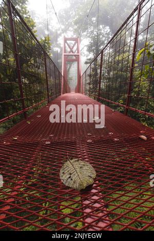 Lungo ponte sospeso stretto con ringhiere in metallo che conduce a alberi verdi nella foresta in Costa Rica Foto Stock