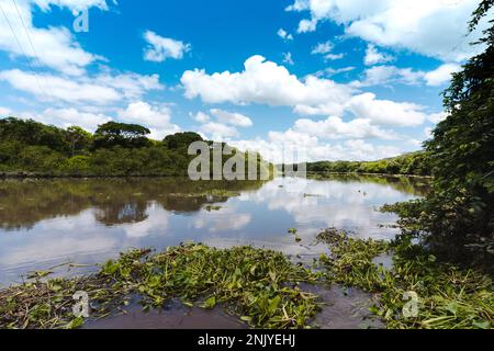 Vista panoramica del lago calmo circondato da alberi verdi e colline verdi contro il cielo blu con le nuvole nelle giornate di sole in Costa Rica Foto Stock