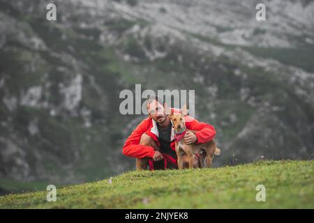 Adulto serio barbuto viaggiatore maschio in giacca a vento rosso seduto su collina verde vicino obbediente basenji cane in collare contro montagna massiccia Foto Stock