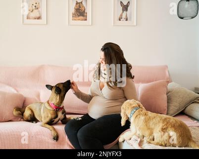 Vista laterale di una donna incinta sorridente in abiti domestici e sciarpa seduta su un divano rosa che dona piacere al cane obbediente nel soggiorno Foto Stock