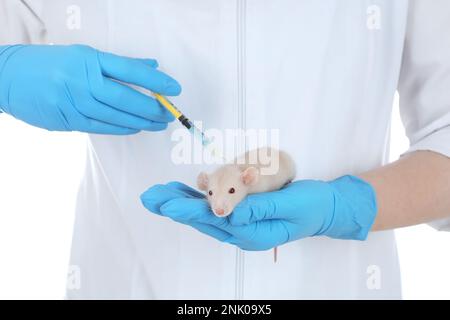 Scienziato con siringa e ratto su sfondo bianco, primo piano. Concetto di sperimentazione animale Foto Stock