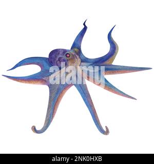 Un insieme di illustrazioni acquerello mante raggio, calamari, meduse, polpo, rana pescatrice, coralli, pietre Foto Stock