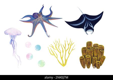 Un insieme di illustrazioni acquerello mante raggio, calamari, meduse, polpo, rana pescatrice, coralli, pietre Foto Stock