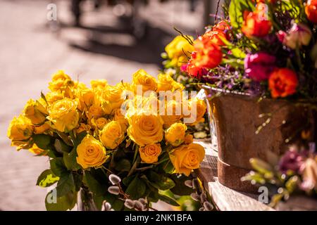 Fiori e piantine diversi vicino all'entrata del negozio di fiori fioraio, primavera, concetto di pasqua Foto Stock