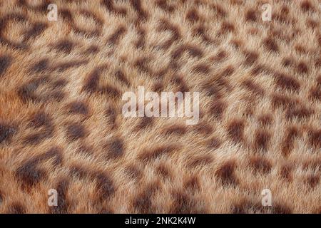 Pelle di leopardo capelli pelliccia reale sfondo texture estrema closeup. rendering 3D Foto Stock