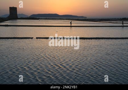 La Riserva Naturale orientata alle Saline di Trapani e Paceco è un'area naturale protetta della Sicilia dove si svolge l'antica attività di estrazione del sale marino Foto Stock