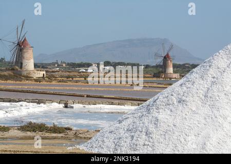 Le isole dello Stagno di Marsala, orientate alla Riserva Naturale, sono un'area naturale protetta situata nel comune di Marsala, nel libero munici Foto Stock