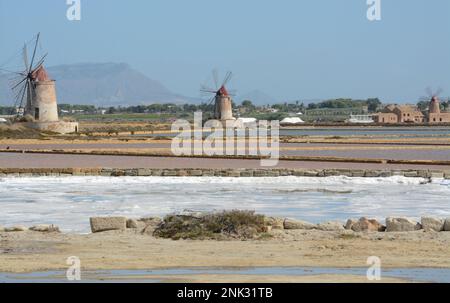 Le isole dello Stagno di Marsala, orientate alla Riserva Naturale, sono un'area naturale protetta situata nel comune di Marsala, nel libero munici Foto Stock