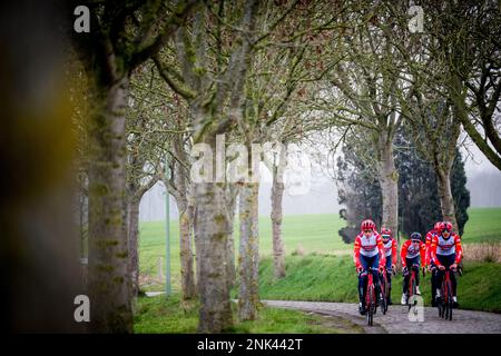 I piloti Trek-Segafredo hanno ritratto in azione durante la ricognizione del tracciato della gara ciclistica di un giorno di questo weekend Oloop Het Nieuwsblad, giovedì 23 febbraio 2023. FOTO DI BELGA JASPER JACOBS Foto Stock