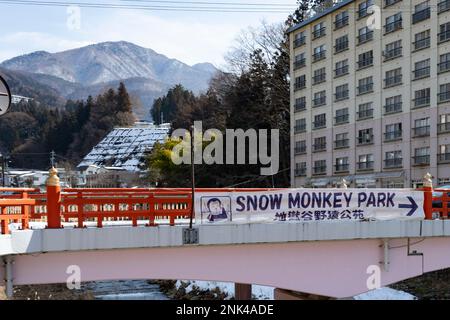 12 febbraio 2023, Yamanochi, Prefettura di Nagano, Giappone: Indicazioni stradali che dirigono il traffico di veicoli a motore verso il Parco delle scimmie delle nevi, casa delle scimmie delle nagano, famose in tutto il mondo, che si riscaldano dalle sorgenti termali vulcaniche in una giornata invernale sotto la temperatura di congelamento. Jigokudani Yaen-Koen, o Parco delle scimmie delle nevi, è una popolare destinazione turistica. Situato nelle Alpi giapponesi, i visitatori possono osservare i macachi giapponesi o le scimmie della neve, rilassandosi nelle sorgenti termali di onsen durante i mesi invernali. Fauna selvatica, natura, inverno, zoo, nazionale geografico, sul turismo, non lasciare traccia, l'ambiente. (Credit Image: © Taidgh Barron Foto Stock