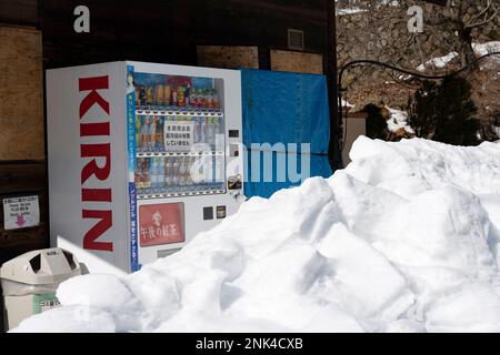 12 febbraio 2023, Yamanochi, prefettura di Nagano, Giappone: Nevicato in distributori automatici giapponesi allo Snow Monkey Park, sede delle famosissime Nagano Snow Monkeys che si scaldano dalle sorgenti termali vulcaniche in una giornata invernale sotto la temperatura di congelamento. Jigokudani Yaen-Koen, o Parco delle scimmie delle nevi, è una popolare destinazione turistica. Situato nelle Alpi giapponesi, i visitatori possono osservare i macachi giapponesi o le scimmie della neve, rilassandosi nelle sorgenti termali di onsen durante i mesi invernali. Fauna selvatica, natura, inverno, zoo, nazionale geografico, sul turismo, non lasciare traccia, l'ambiente. (Credit Image: © Taidgh Barron/Z Foto Stock