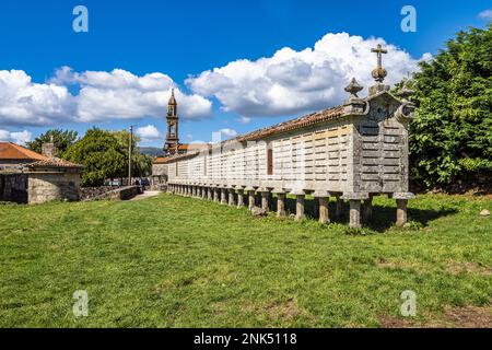 Il lungo e stretto magazzino di grano, horreo a Carnota in Galizia, Spagna. Questo horreo particolare è stato dichiarato come la più grande completa e di origine della regione Foto Stock