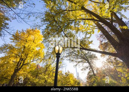 Il lampione si erge accanto all'albero di Gingko colorato con foglie autunnali nel Central Park. Foto Stock