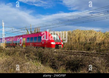 TER. Trasporto ferroviario di passeggeri tra Beziers e Narbonne. Occitanie, Francia Foto Stock