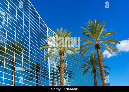 Garden Grove, CA, USA – 2 novembre 2022: Gli alberi di palma riflettono l'edificio della Christ Cathedral, ex Crystal Cathedral, a Garden Grove, Califo Foto Stock