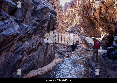 Trekking nel fiume Puritama, Guantin Valle o burrone , vicino a San Pedro de Atacama deserto di Atacama. Region de Antofagasta. Cile Foto Stock