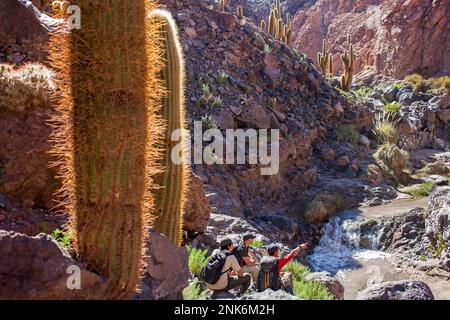 Trekking nel fiume Puritama, Guantin Valle o burrone , vicino a San Pedro de Atacama deserto di Atacama. Region de Antofagasta. Cile Foto Stock