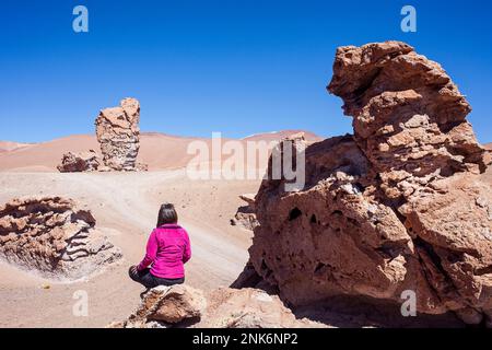 Formazioni di roccia vulcanica, bomba piroclastici, vicino Salar de Aguas Calientes, Altiplano, Puna, il deserto di Atacama. Region de Antofagasta. Cile Foto Stock