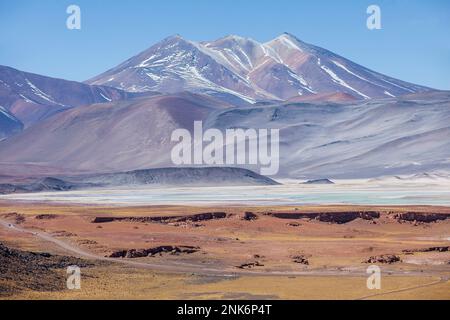 Salar (saline) o laguna (laguna) de talari, chiamato anche de Aguas Calientes, Altiplano, Puna, il deserto di Atacama. Region de Antofagasta. Cile Foto Stock