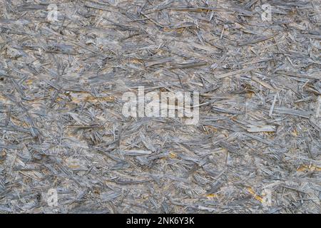 Vecchia ruvida asse orientato con sfondo segatura Foto Stock