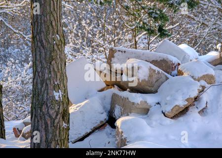 Discarica illegale nei boschi. Inquinamento ambientale da rifiuti da costruzione. Impatto negativo sulla natura. I detriti di costruzione si sono accumulati nella parte anteriore Foto Stock